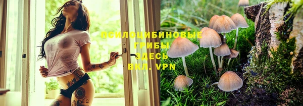 не бодяженный Дмитриев