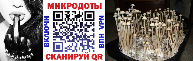 Купить закладки  Керчь  Галлюциногенные грибы Cubensis 